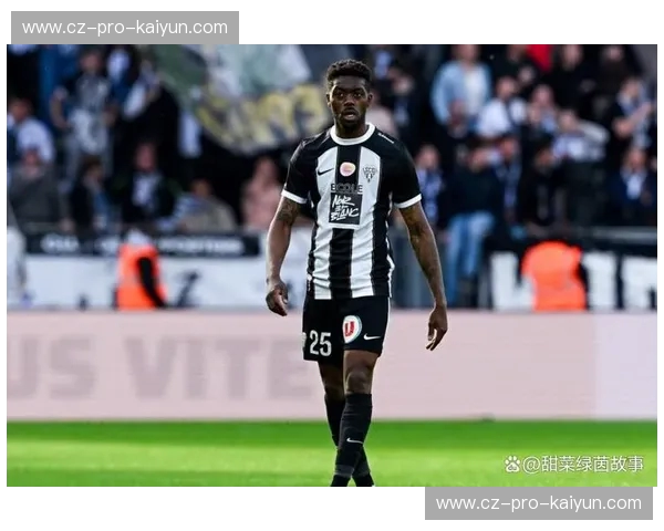 开云体育法甲资讯：深度解读与前瞻洞察，陪你走进法甲热潮